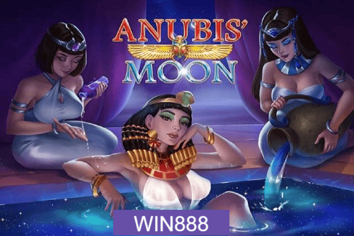 Multi-Sport Coverage